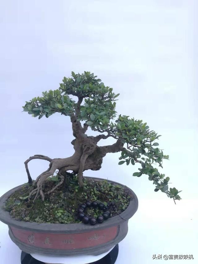 给30岁的男上司送什么生日礼物好呢？