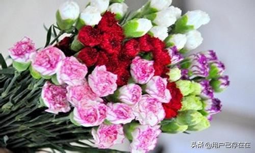 揭秘小学生母亲节送什么礼物好？