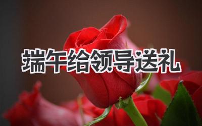 端午给领导送礼