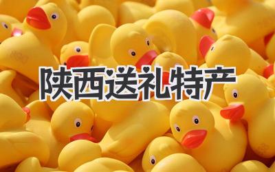 陕西送礼特产