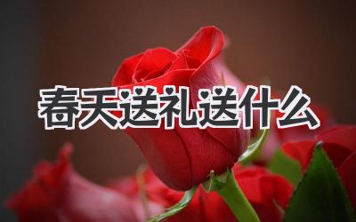 春天送礼送什么