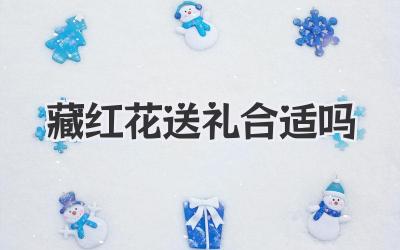 藏红花送礼合适吗
