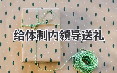 给体制内领导送礼