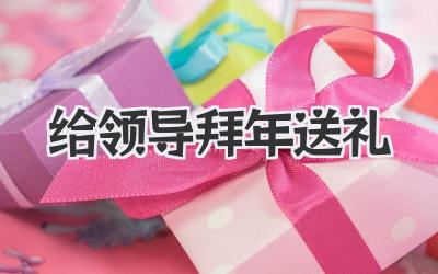 给领导拜年送礼
