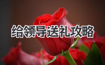 给领导送礼攻略