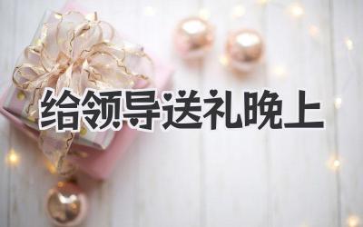 给领导送礼晚上