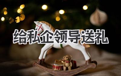 给私企领导送礼