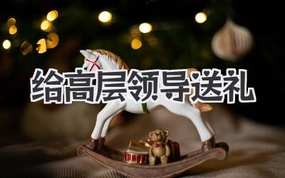 给高层领导送礼