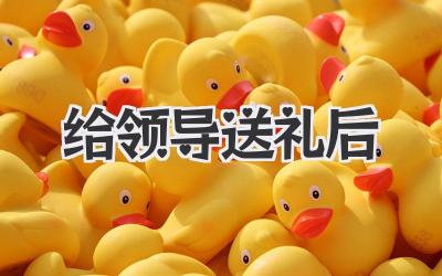 给领导送礼后