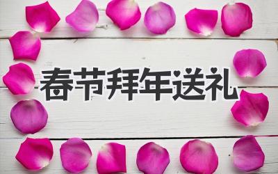 春节拜年送礼