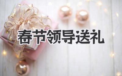 春节领导送礼