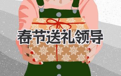 春节送礼领导