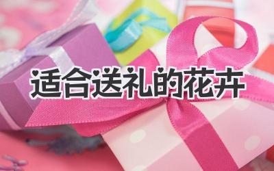 适合送礼的花卉