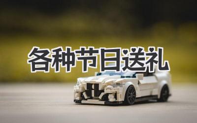 各种节日送礼