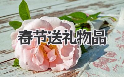 春节送礼物品