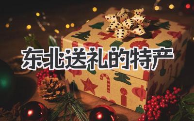 东北送礼的特产