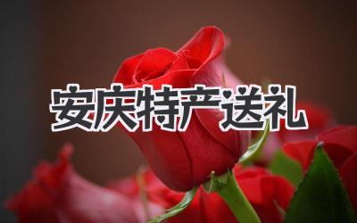 安庆特产送礼