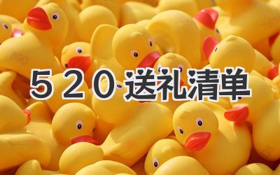 520送礼清单