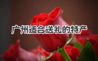 广州适合送礼的特产