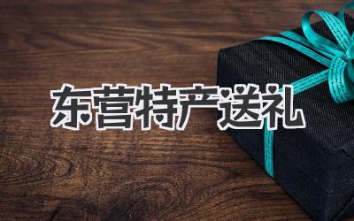 东营特产送礼