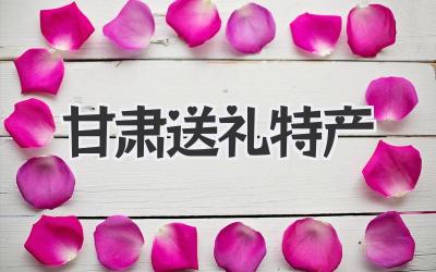 甘肃送礼特产