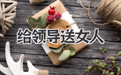 给领导送女人
