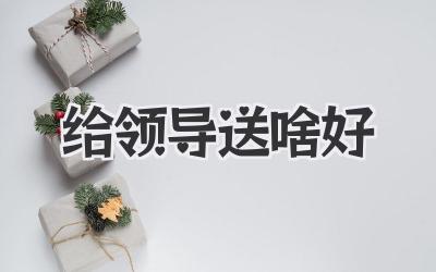 给领导送啥好