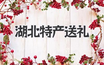 湖北特产送礼