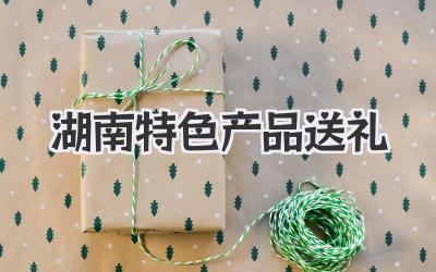 湖南特色产品送礼
