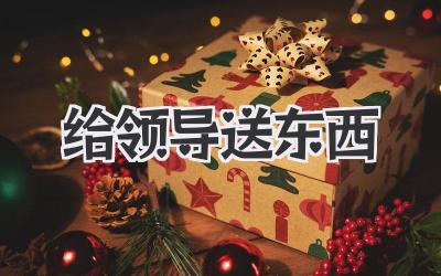 给领导送东西