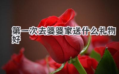 第一次去婆婆家送什么礼物好