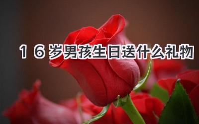 16岁男孩生日送什么礼物