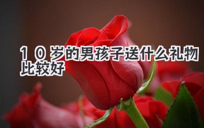 10岁的男孩子送什么礼物比较好