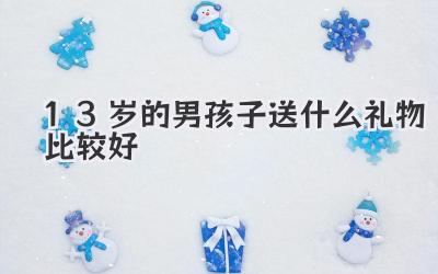 13岁的男孩子送什么礼物比较好