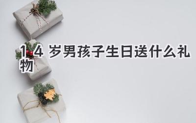 14岁男孩子生日送什么礼物