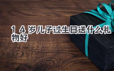 14岁儿子过生日送什么礼物好