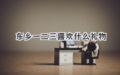 东乡一二三喜欢什么礼物