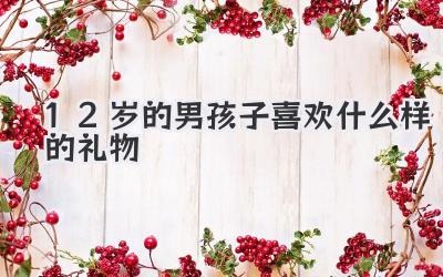 12岁的男孩子喜欢什么样的礼物