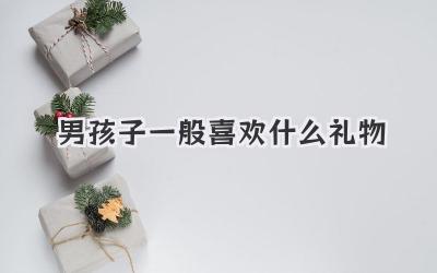 男孩子一般喜欢什么礼物