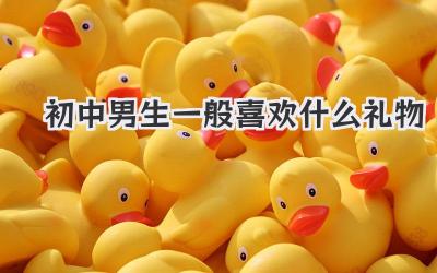 初中男生一般喜欢什么礼物