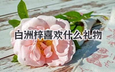 白洲梓喜欢什么礼物