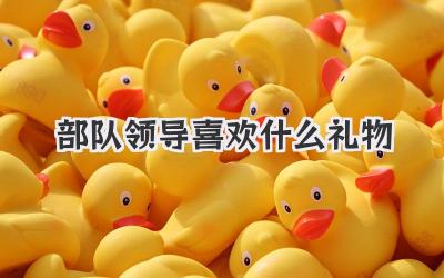 部队领导喜欢什么礼物