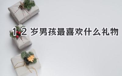 12岁男孩最喜欢什么礼物