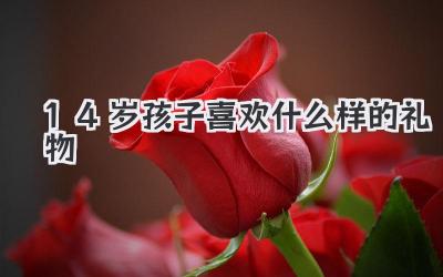 14岁孩子喜欢什么样的礼物