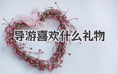 导游喜欢什么礼物