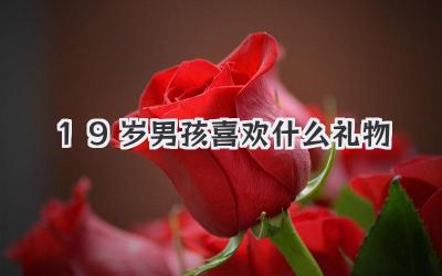 19岁男孩喜欢什么礼物