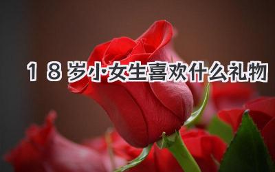 18岁小女生喜欢什么礼物