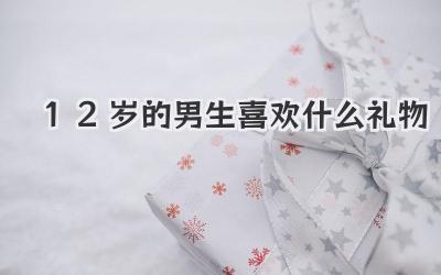 12岁的男生喜欢什么礼物