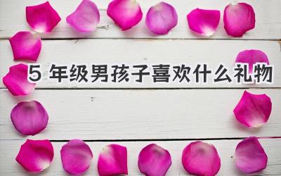 5年级男孩子喜欢什么礼物