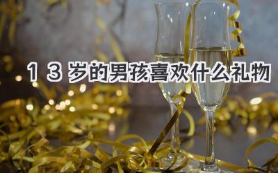 13岁的男孩喜欢什么礼物